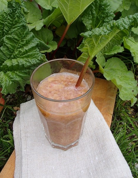 Rabarbrasuppe
