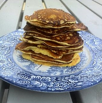 Proteinpletter